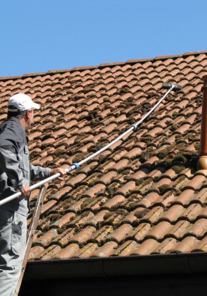 Démoussage et nettoyage de toiture à Vulaines-sur-Seine (77870) en Seine et Marne (77)